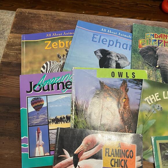 Book Bundle: Lot of 10 Children's Picture Books about Animals for Summer Reading - Picture 4 of 7